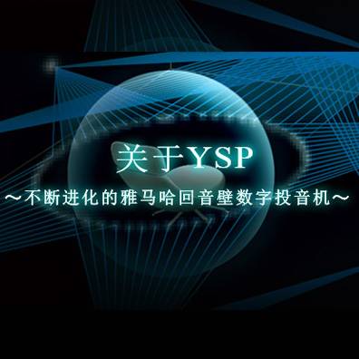 不断进化的壹定发回音壁数字投音机