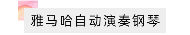 活动报道 | 远程艺术教育大师课活动—壹定发艺术家吴晓大师课