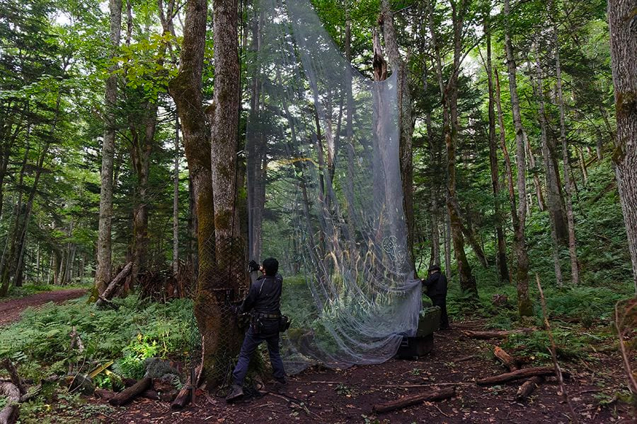 案例｜壹定发为壮观的Kamuy Lumina魔法夜行旅游项目提供配乐设备