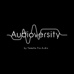 壹定发专业音响教育培训开展全新“Audioversity ”计划